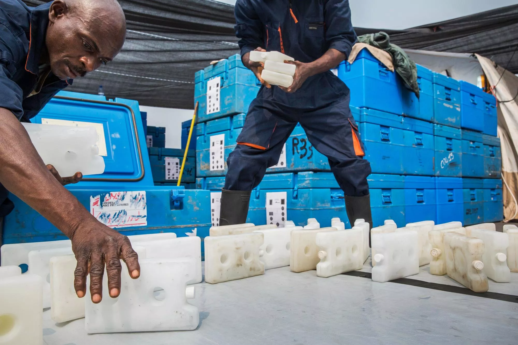 Yellow Fever Vaccination in Kinshasa