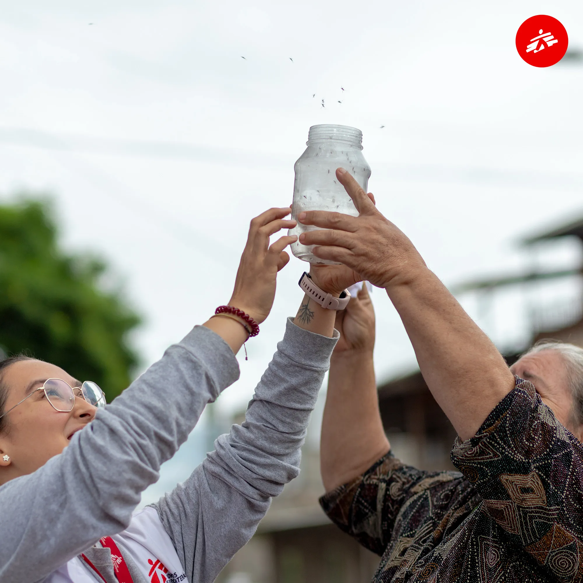 Kolegyně Lékařů bez hranic vypouští komáry nesoucí bakterii, která zabraňuje šíření vizu dengue nebo zika. Honduras, 2024. Foto: Martín Cálix / Lékaři bez hranic